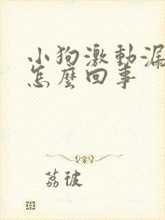 小狗激动漏尿是怎么回事