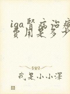 iga肾病治疗费用是多少