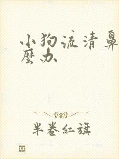 小狗流清鼻涕怎么办