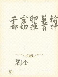 子宫卵巢输卵管都切掉有什么影响