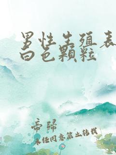 男性生殖表皮有白色颗粒