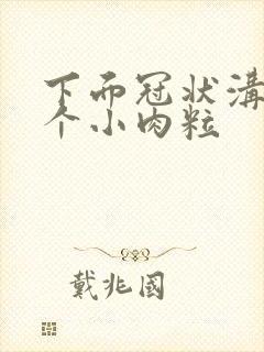 下面冠状沟上长个小肉粒