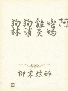 狗狗能吃阿莫西林消炎吗