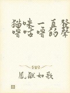 猫咪一直发出咕噜咕噜的声音还蹭人