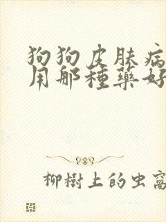 狗狗皮肤病掉毛用那种药好
