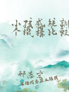 小孩感统训练哪个机构比较好