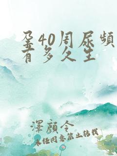 孕40周尿频还有多久生