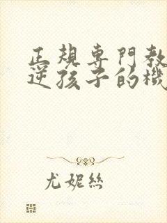 正规专门教育叛逆孩子的机构