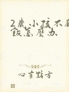 2岁小孩不愿吃饭怎么办