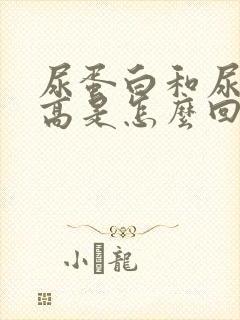 尿蛋白和尿细胞高是怎么回事