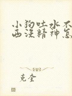 小狗吐水不吃东西没精神怎么办