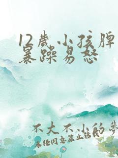 12岁小孩脾气暴躁易怒