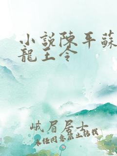 小说陈平苏雨琪龙王令