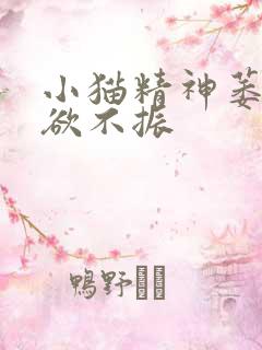 小猫精神萎靡食欲不振