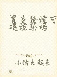 胃炎发烧可以吃退烧药吗