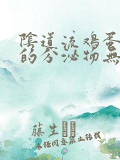 阴道流鸡蛋清状的分泌物无色无味