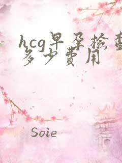 hcg早孕检查多少费用