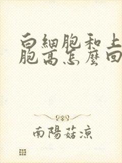 白细胞和上皮细胞高怎么回事