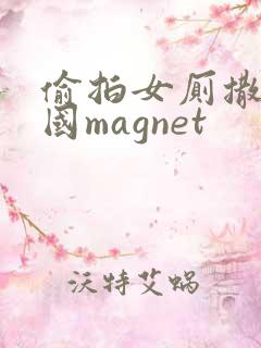 偷拍女厕撒尿全国magnet