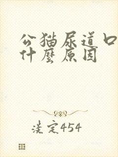 公猫尿道口出血什么原因