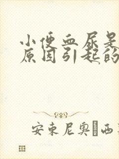 小便血尿是什么原因引起的