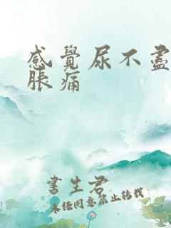 感觉尿不尽小腹胀痛