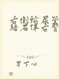 右侧输尿管中段结石伴右肾轻度积水