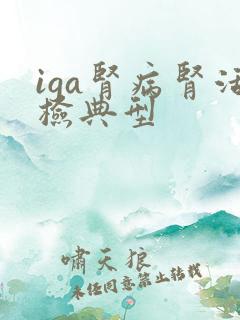 iga肾病肾活检典型