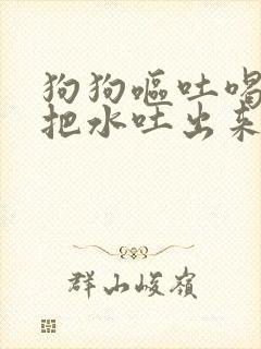 狗狗呕吐喝水了把水吐出来了