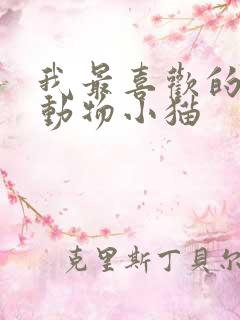 我最喜欢的一种动物小猫