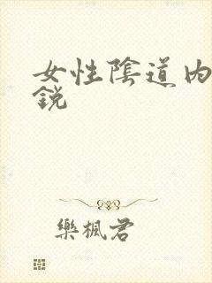 女性阴道内长湿锐