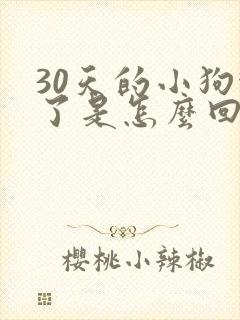 30天的小狗吐了是怎么回事