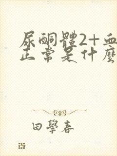 尿酮体2+血糖正常是什么原因