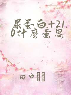 尿蛋白+21.0什么意思