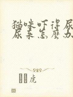 猫咪吓得尿不出尿来怎么办