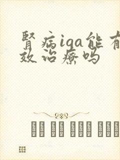 肾病iga能有效治疗吗