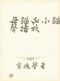 母猫凶小猫的叫声播放