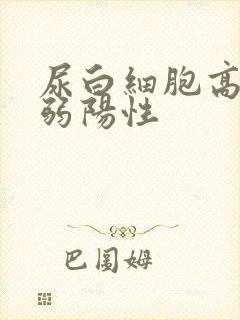 尿白细胞高酯酶弱阳性