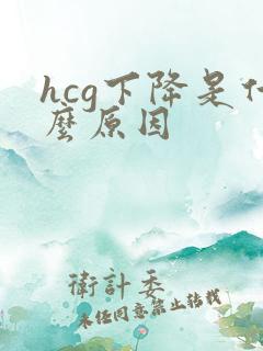 hcg下降是什么原因