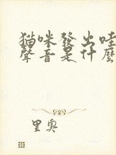 猫咪发出哇哦的声音是什么意思