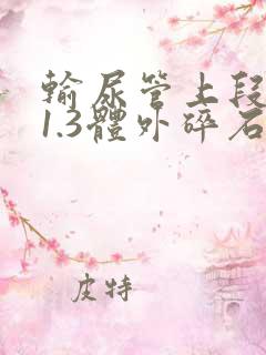 输尿管上段结石1.3体外碎石可以吗