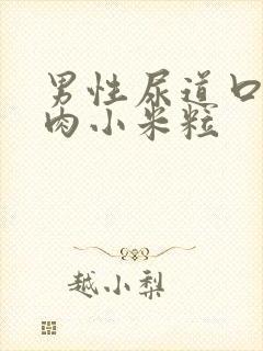 男性尿道口内有肉小米粒