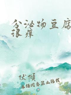 分泌物豆腐渣样很痒