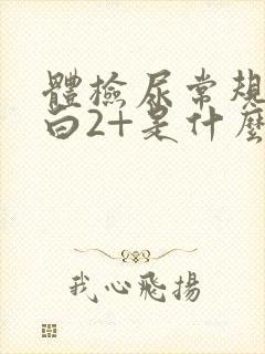 体检尿常规尿蛋白2+是什么意思