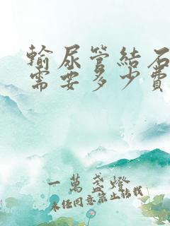 输尿管结石手术需要多少费用