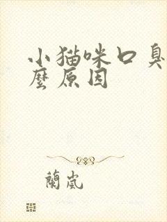 小猫咪口臭是什么原因