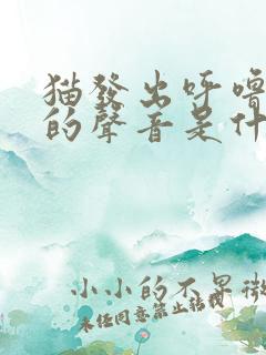 猫发出呼噜呼噜的声音是什么意思