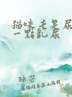 猫咪老是尿一点一点乱尿