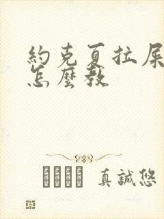 约克夏拉屎拉尿怎么教