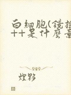 白细胞(镜检)++是什么意思